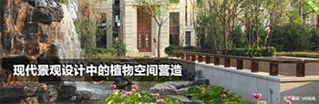 现代景观设计中的植物空间营造