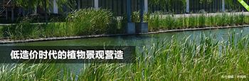 低造价时代的植物景观营造