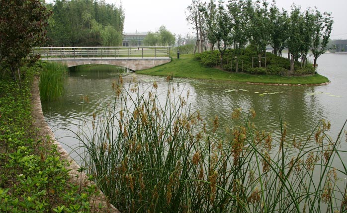 城市滨水绿地景观规划