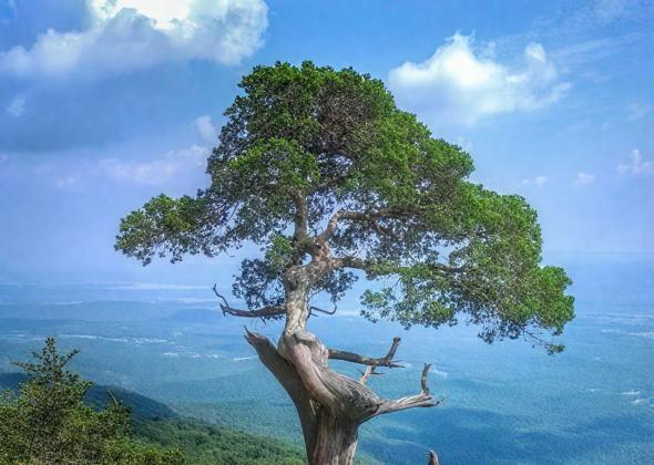 初心坚守 时代焕新丨奥雅股份以「L.E.A.D +」重新定义好设计