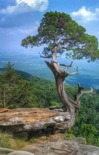 初心坚守 时代焕新丨奥雅股份以「L.E.A.D +」重新定义好设计