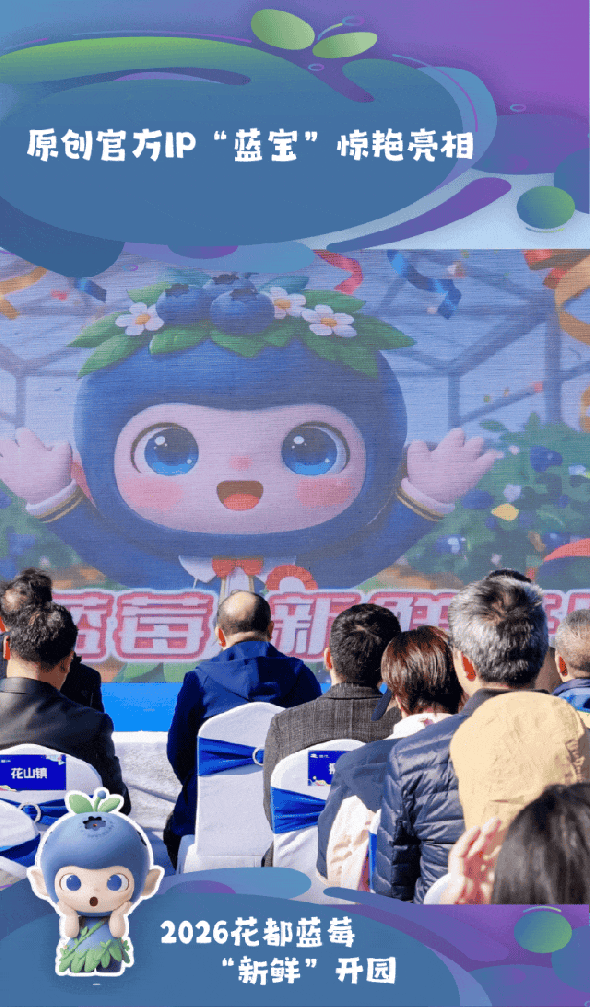 从一颗蓝莓到蓝宝IP，奥雅股份以城市更新思维激活都市农业新生态